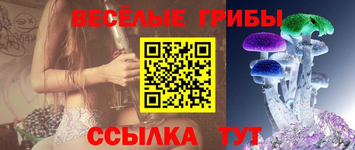 Галлюциногенные грибы Cubensis Острогожск
